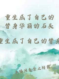 重生成了自己的替身华丽的石头